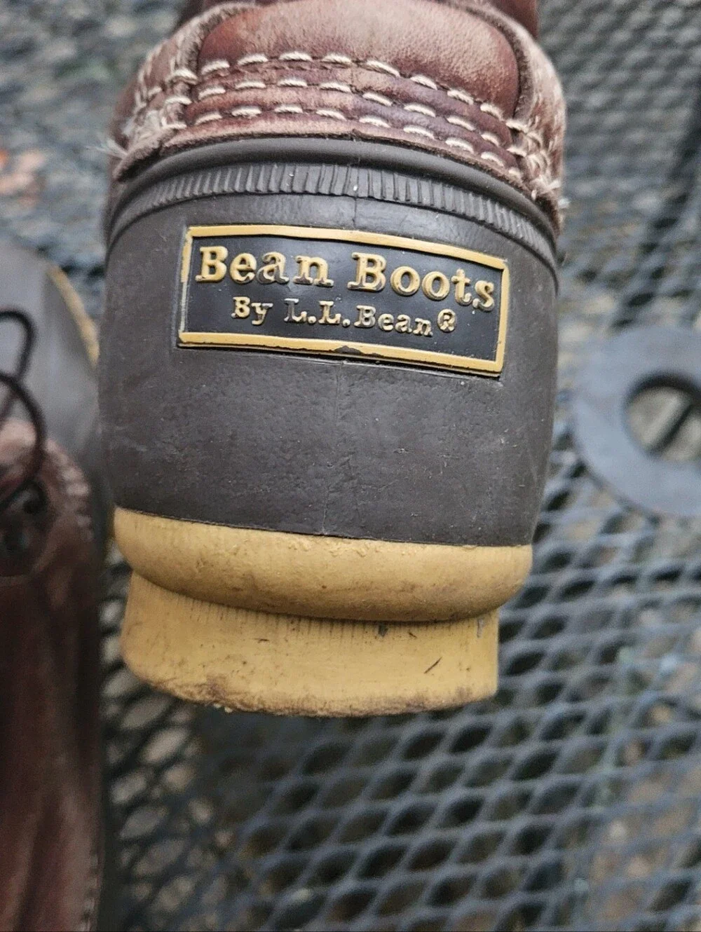 LL Bean 8 